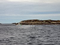 Vi fikk båtskyss ut fra Grefsnesvågen  ut gjennom øygruppa som kalles Bispøyan, - ut til Grønøya