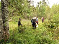 Ikke så lett å finne rester etter jernverket i IOsen. Det er ikke blitt ryddet siden 1990-tallet