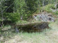 Gruve ca. 150m nord for Svetjønna