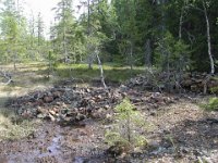 Malmholdig gråbergsvelt ved Svetjønngruva