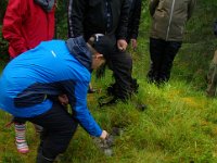 Malmvelte ved Gaddmyrgruva på Viken