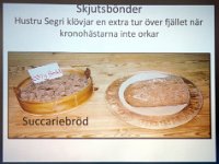 Brød var en viktig matvare, - til å produsere dette, trengte man korn.
