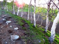 På Stugudal Skanse, bygd i 1650-åra