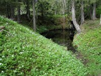Klepptjønngruva
