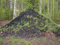 Mila er utbrent og kullet er raket til pyramideform