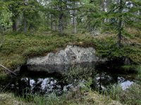 Nygruvkjølen