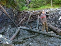 Nils Bakmark var "innsatsleder" for Historielaget Mostadmark Jernverks Venner under tømmeaksjonen